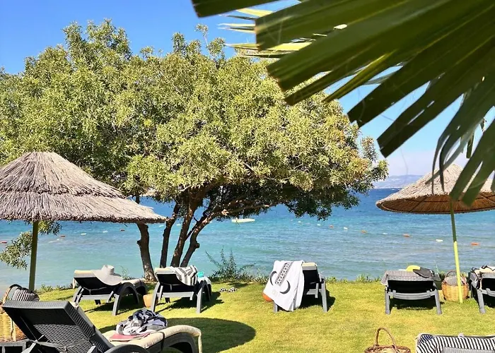 Sato Design (adults Only) מלון Çeşme