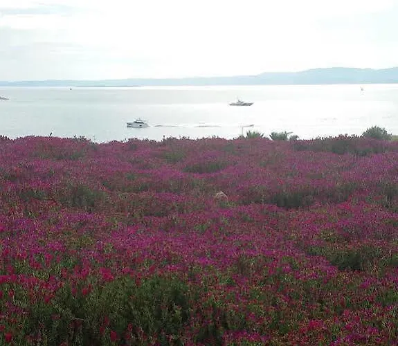 Sato Design (adults Only) מלון 2*