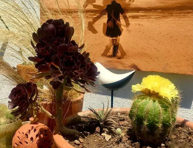 Sato Design (adults Only) מלון