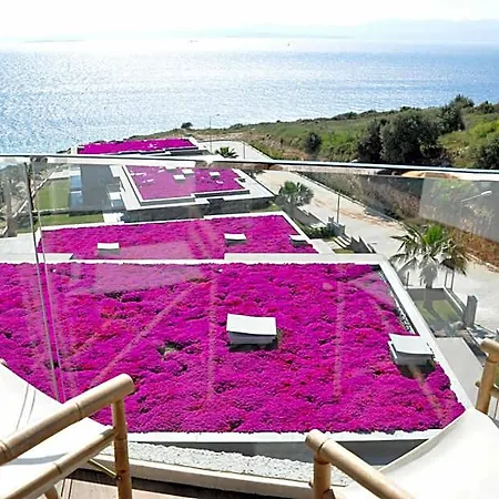 Sato Design (adults Only) 2*