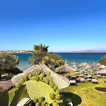 Sato Design (adults Only) 2* Cesme
