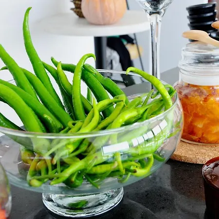 Sato Design (adults Only)