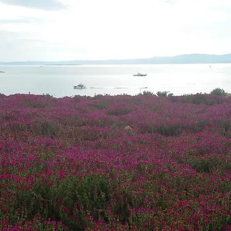 şato Design Hotel 2*